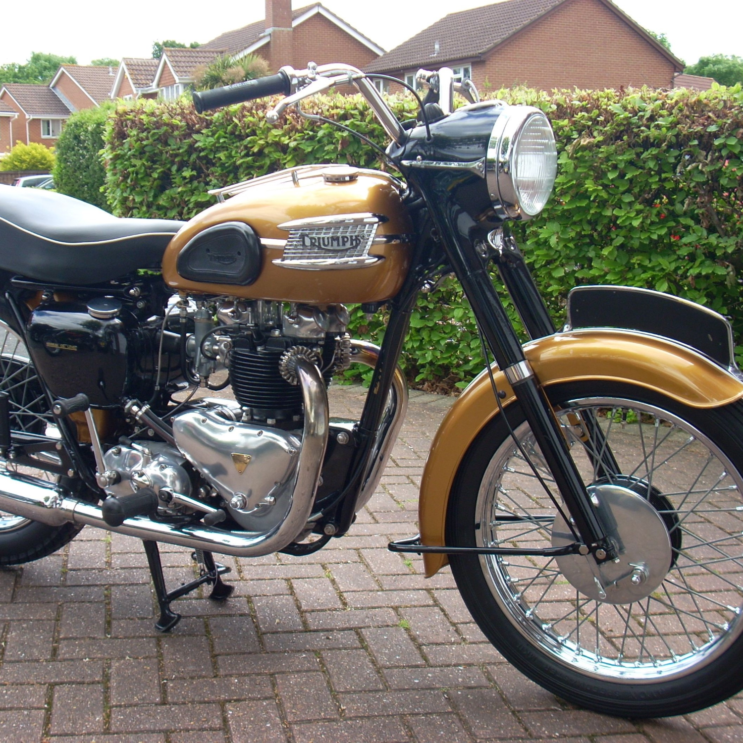 Triumph Polychromatic Bronze Gold Paint Product